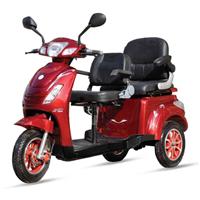 鄭州雙人老年代步車